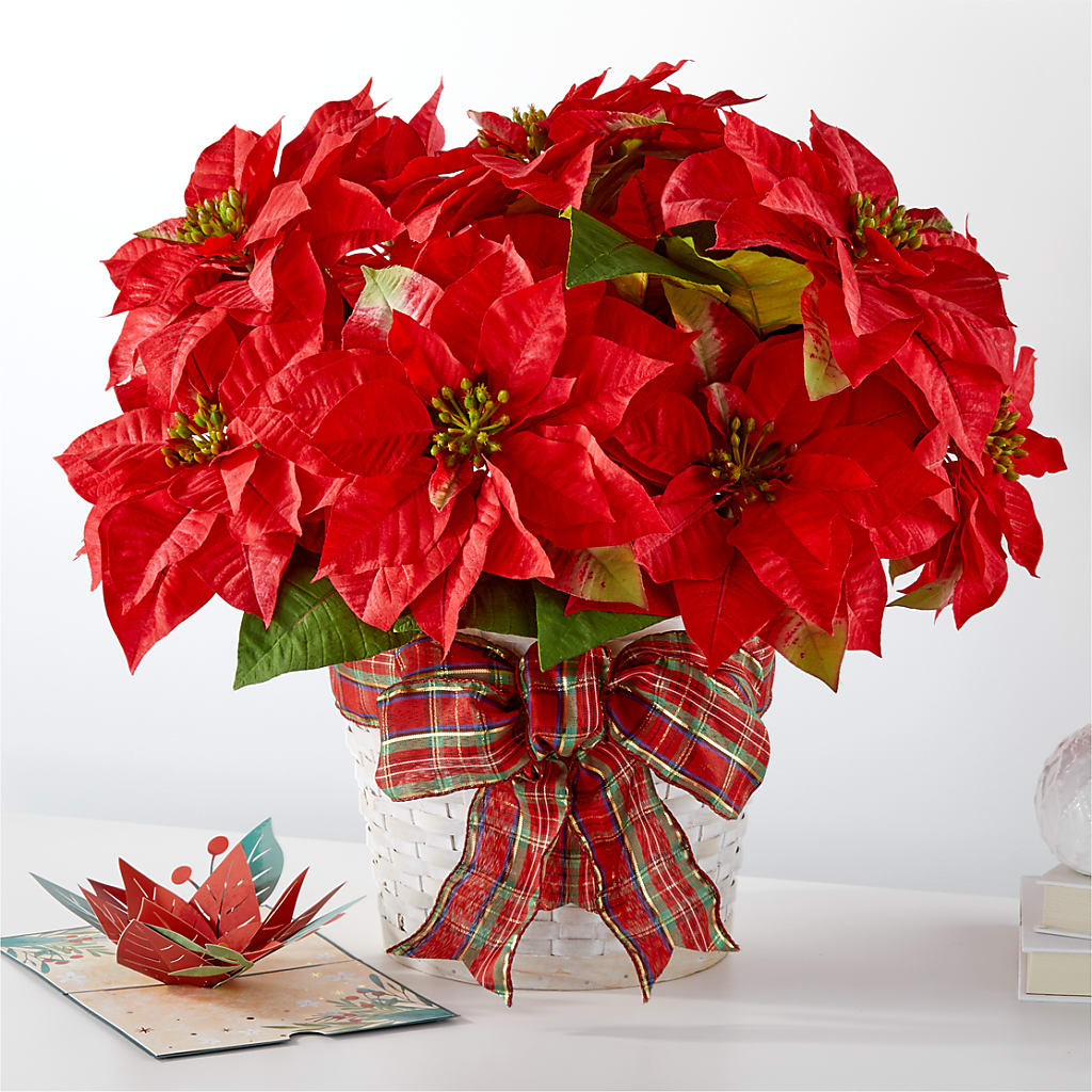 Happiest Holidays Poinsettia and Lovepop Card – The Owls Nest Florist, Clover SC