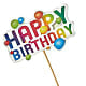 Happy Birthday Pick – The Owls Nest Florist, Clover SC