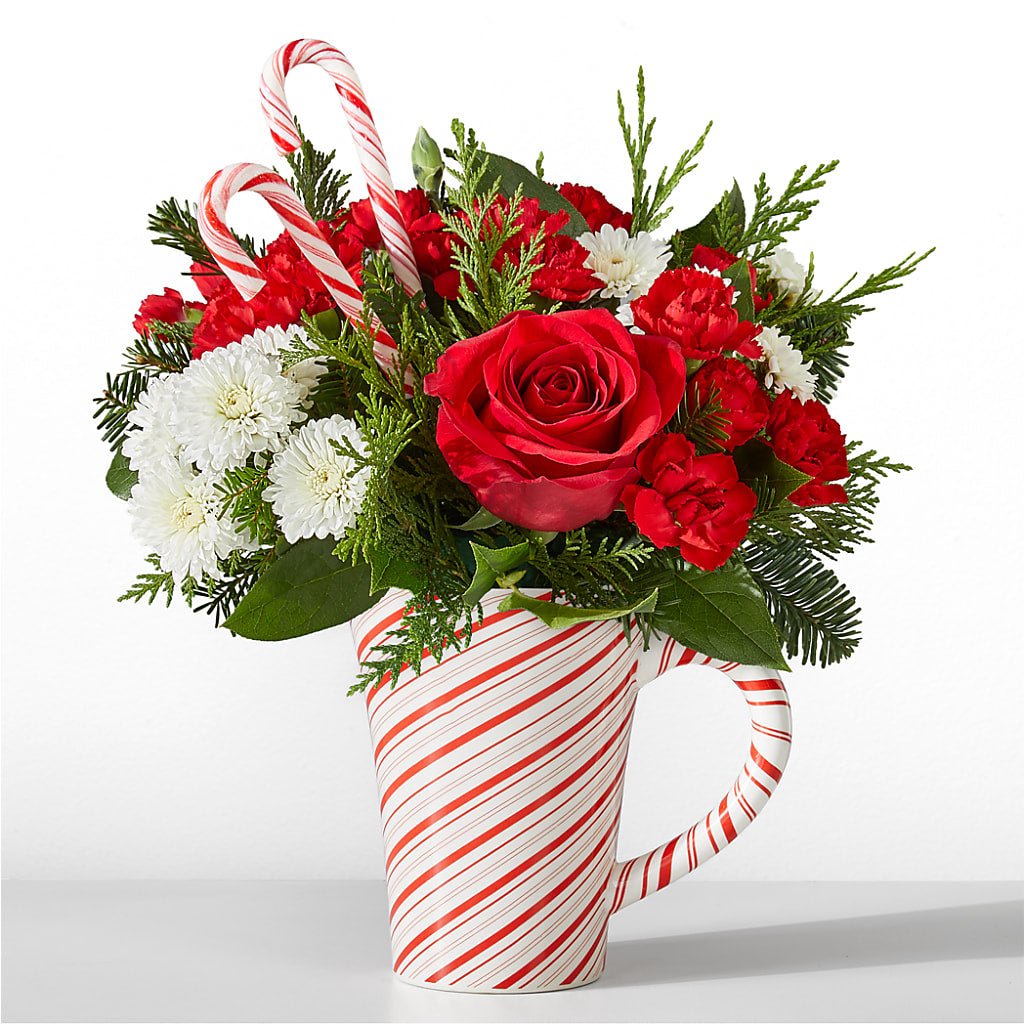 Peppermint Swirl Mug – The Owls Nest Florist, Clover SC