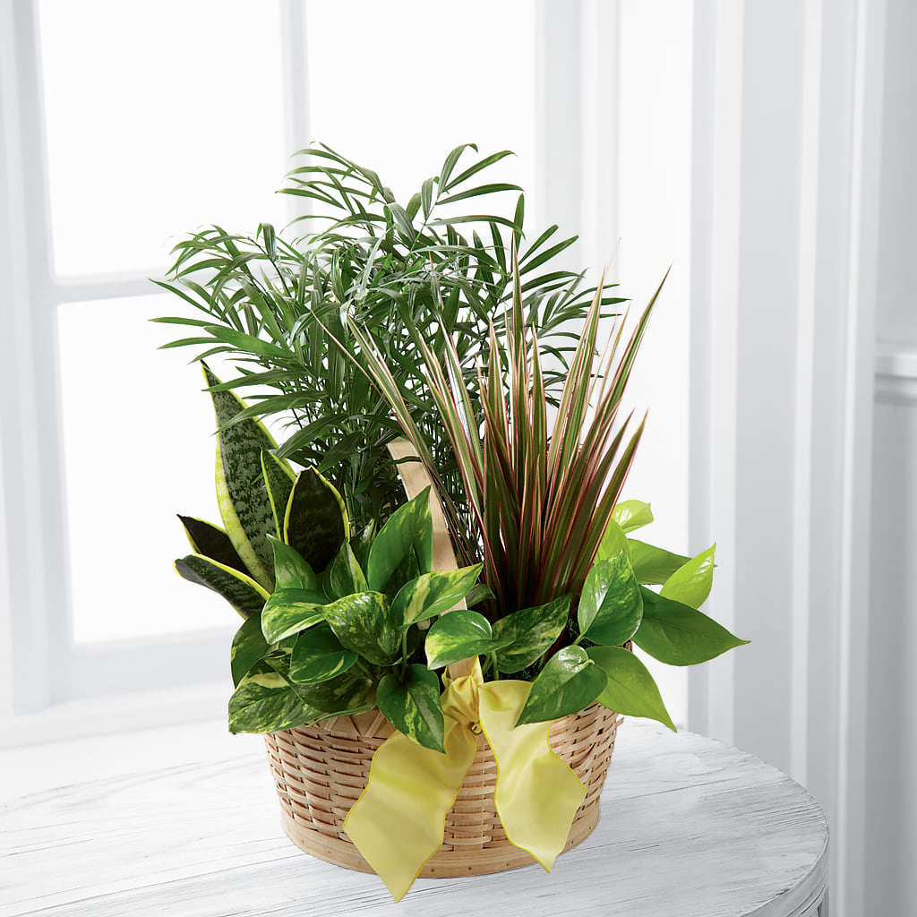 French Garden – The Owls Nest Florist, Clover SC