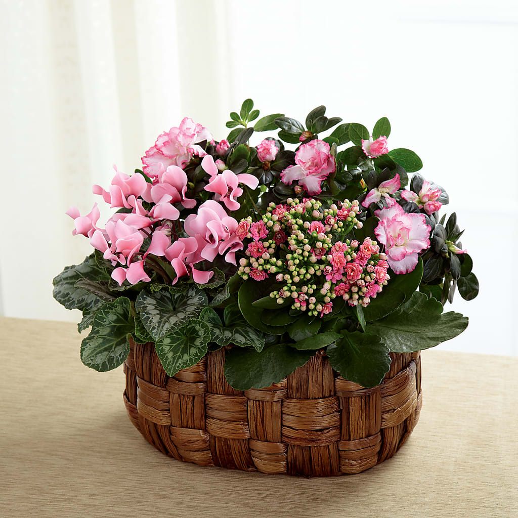Pink Assortment – The Owls Nest Florist, Clover SC