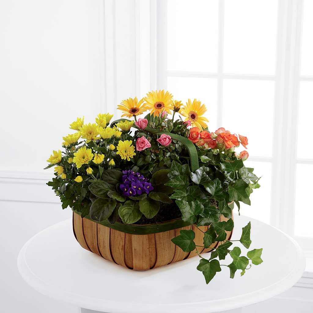 Gentle Blossoms Basket – The Owls Nest Florist, Clover SC