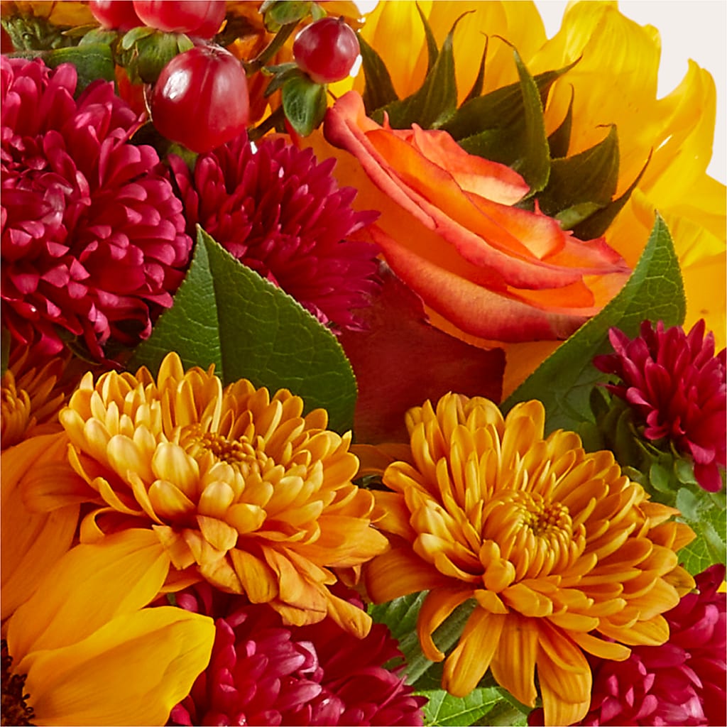 Sweater Season - A Florist Original – The Owls Nest Florist, Clover SC