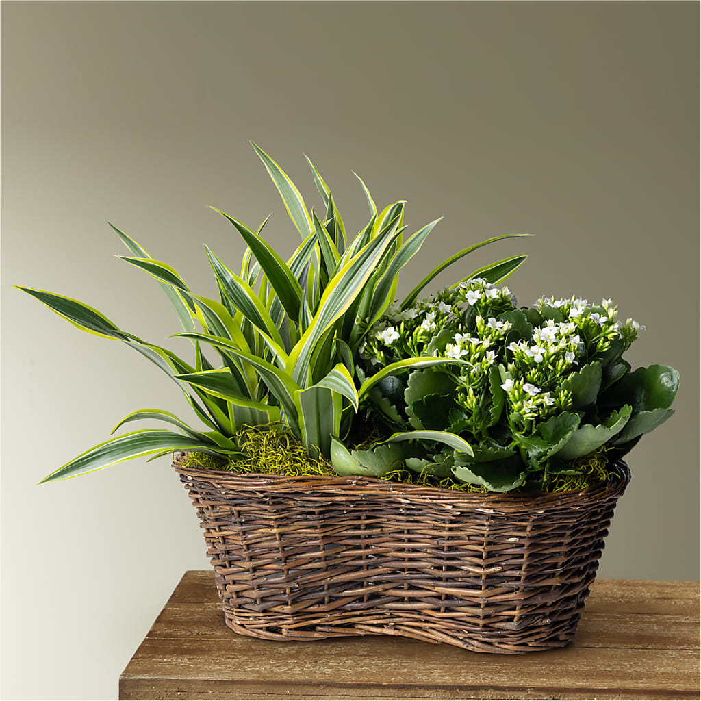 Blooming Garden – The Owls Nest Florist, Clover SC