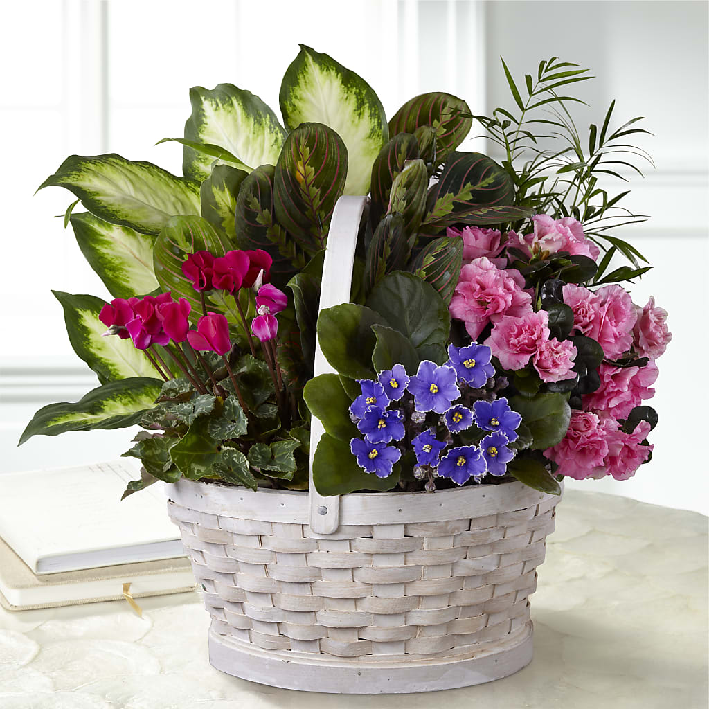 Peaceful Garden Planter – The Owls Nest Florist, Clover SC