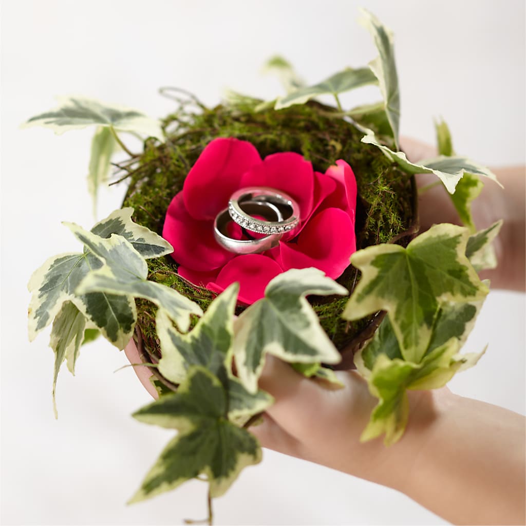 Lila Rose Ring Nest – The Owls Nest Florist, Clover SC
