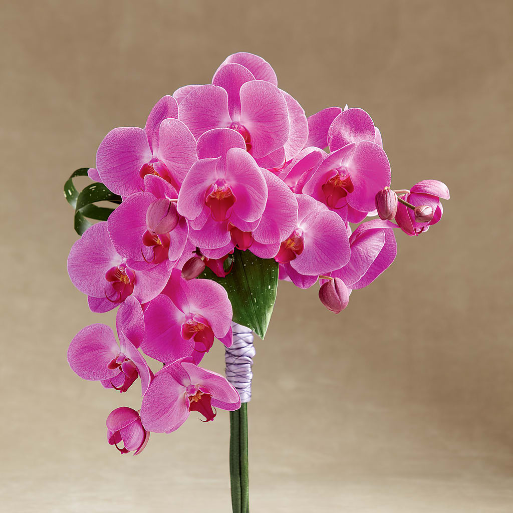 Glorious Bouquet – The Owls Nest Florist, Clover SC