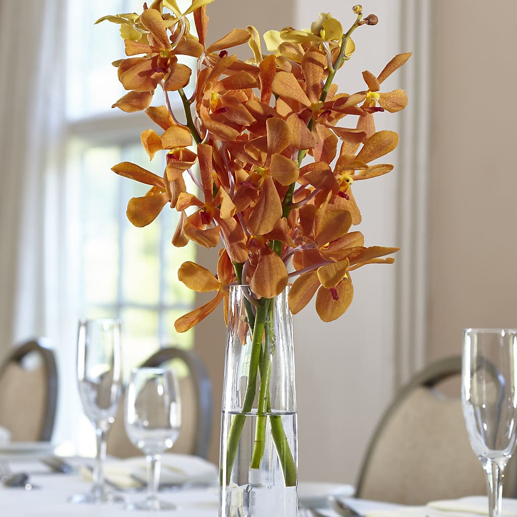 Orange Mokara Bud Vase – The Owls Nest Florist, Clover SC