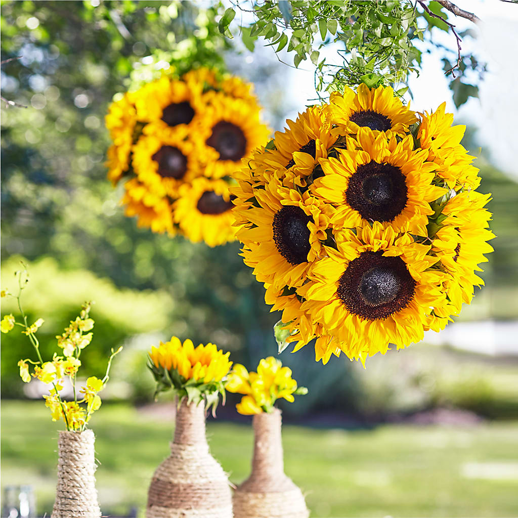 Sublime Garden Hanging Arrangement – The Owls Nest Florist, Clover SC