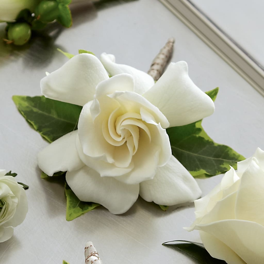 Gardenia Boutonniere – The Owls Nest Florist, Clover SC