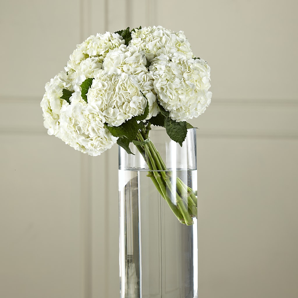 White Hydrangea Hand-Tied Bouquet – The Owls Nest Florist, Clover SC