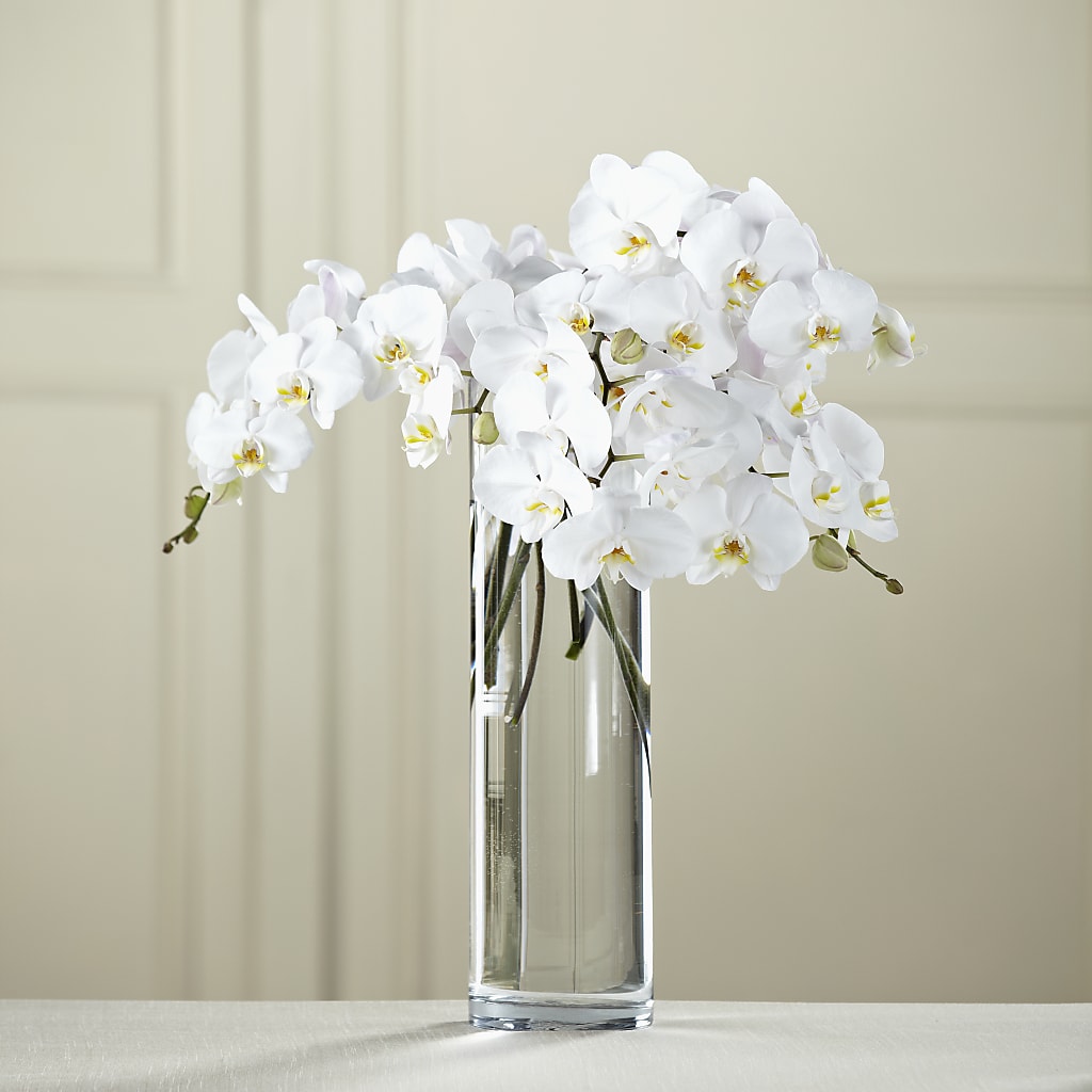 White Phalaenopsis Bouquet – The Owls Nest Florist, Clover SC