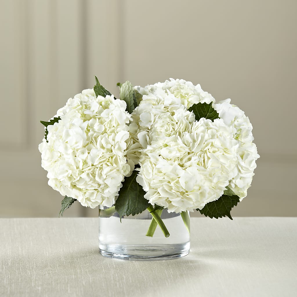 White Hydrangea Bouquet – The Owls Nest Florist, Clover SC