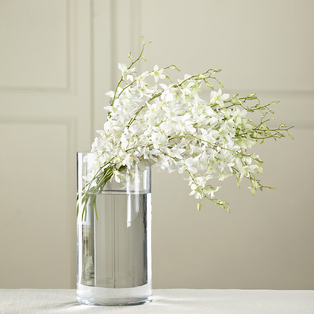 White Dendrobium Bouquet – The Owls Nest Florist, Clover SC