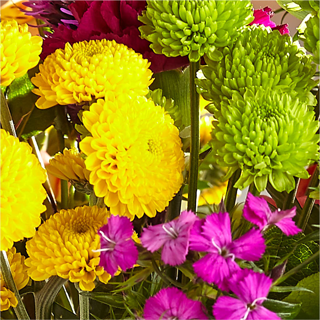 Bold & Bright – A Florist Original –  The Owls Nest Florist, Clover SC