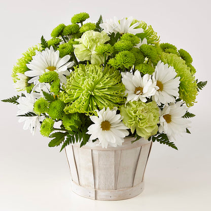 Lucky Charm Basket (Standard) –  The Owls Nest Florist, Clover SC