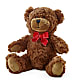 Adorable Plush Bear –  The Owls Nest Florist, Clover SC