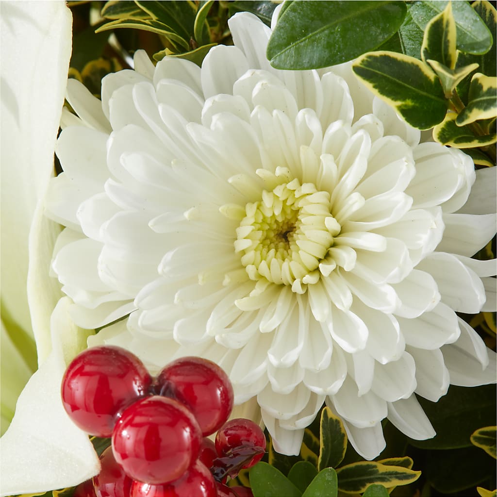Festive Moments Tree –  The Owls Nest Florist, Clover SC