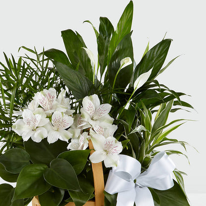Peace & Serenity Dishgarden –  The Owls Nest Florist, Clover SC