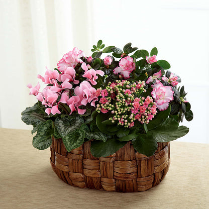 Pink Assortment –  The Owls Nest Florist, Clover SC