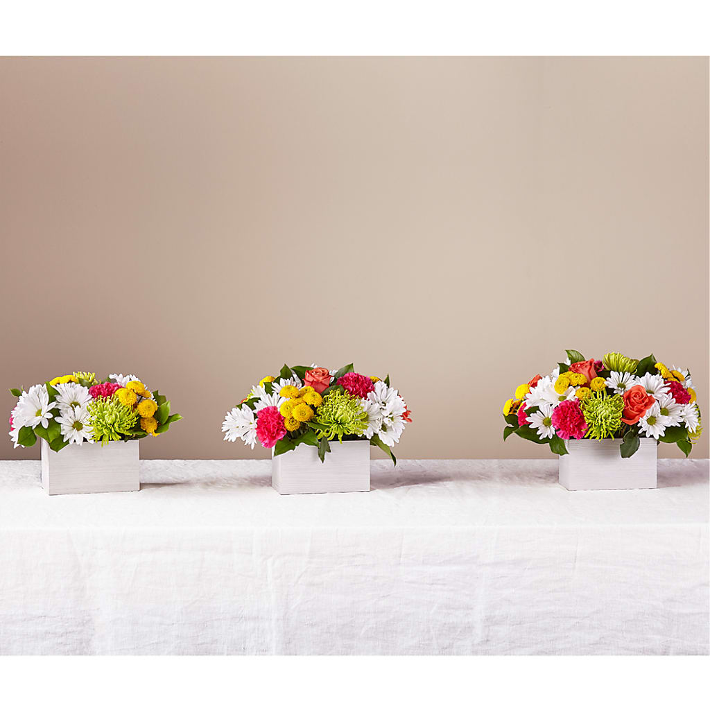 Sorbet Bouquet –  The Owls Nest Florist, Clover SC