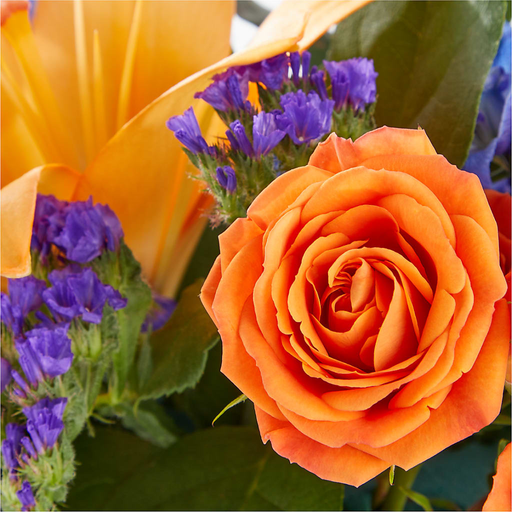 Radiant Citrus Box Bouquet –  The Owls Nest Florist, Clover SC