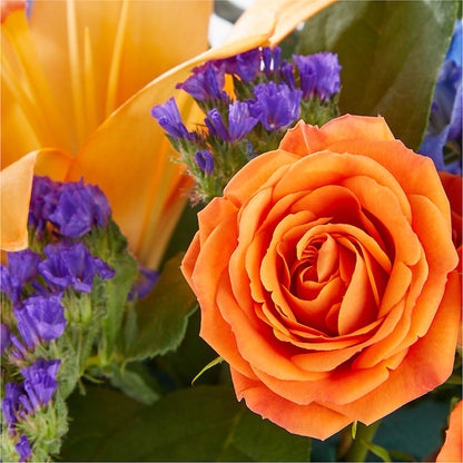 Radiant Citrus Box Bouquet –  The Owls Nest Florist, Clover SC