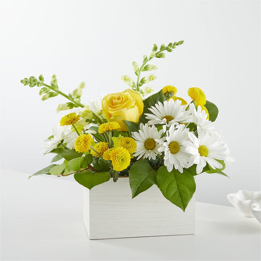 Sun Salutation Box Bouquet –  The Owls Nest Florist, Clover SC