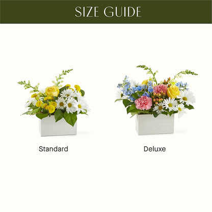Sun Salutation Box Bouquet –  The Owls Nest Florist, Clover SC