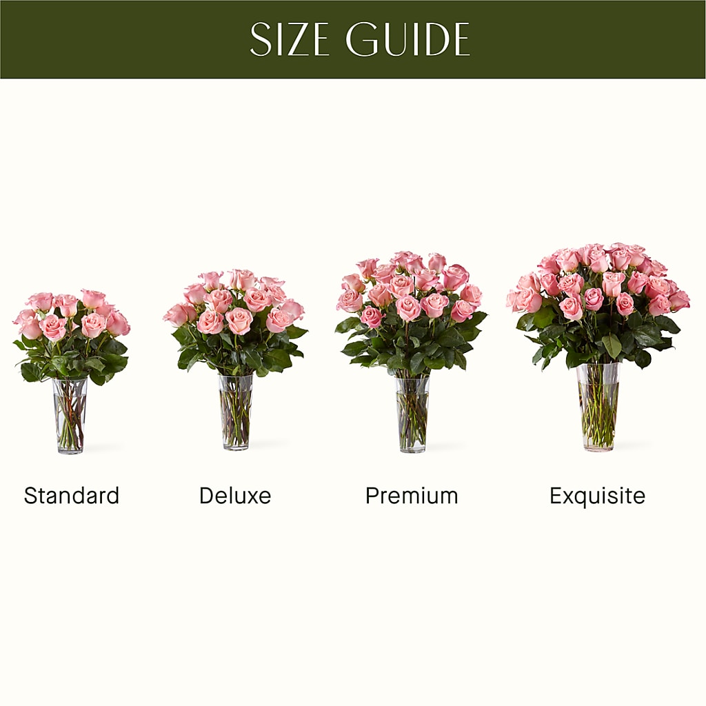 Long Stem Pink Rose Bouquet –  The Owls Nest Florist, Clover SC