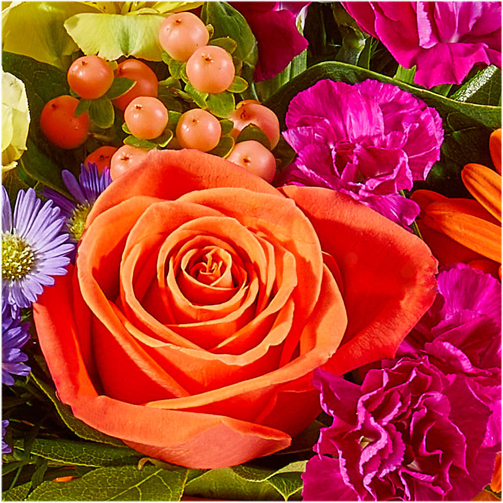 Tricks & Treats Pumpkin –  The Owls Nest Florist, Clover SC