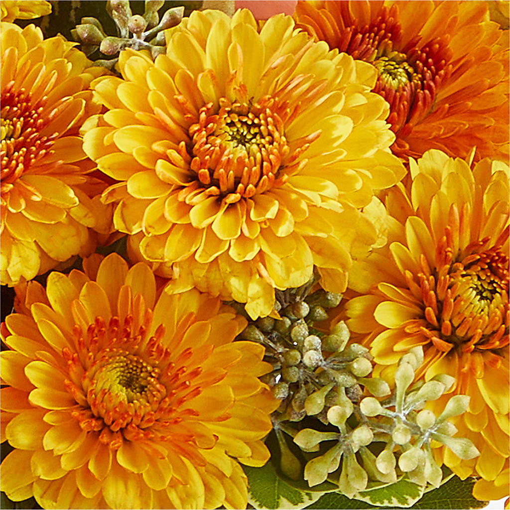 Peachy Pumpkin –  The Owls Nest Florist, Clover SC