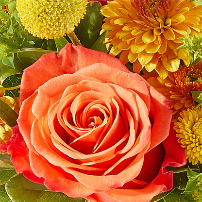 Gourdgeous Pumpkin –  The Owls Nest Florist, Clover SC