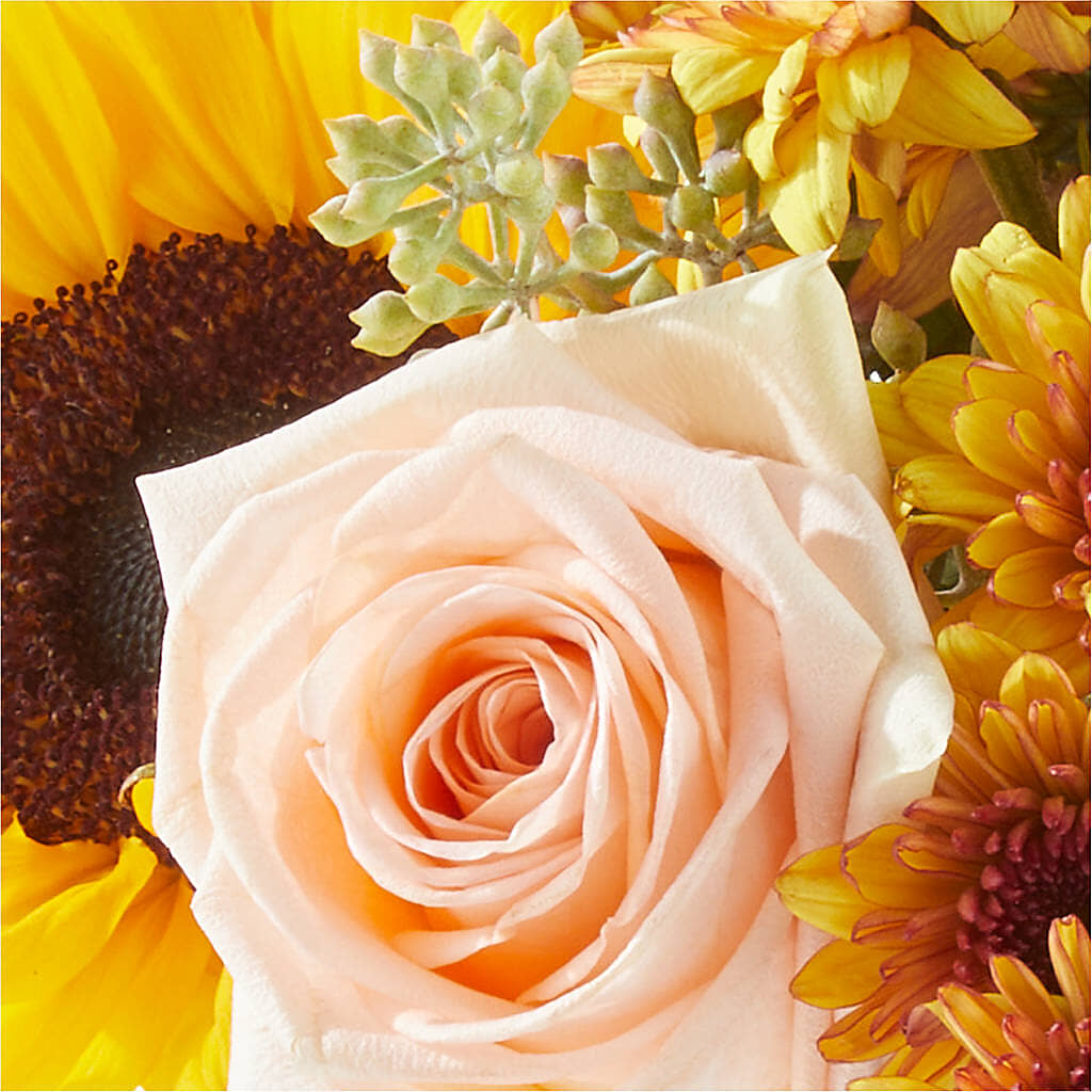 Pumpkin to Talk About Bouquet –  The Owls Nest Florist, Clover SC