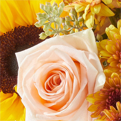 Pumpkin to Talk About Bouquet –  The Owls Nest Florist, Clover SC