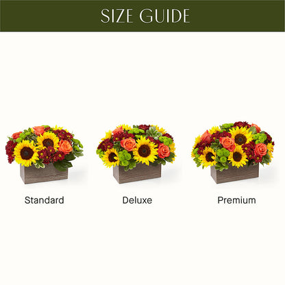Happy Harvest Garden –  The Owls Nest Florist, Clover SC