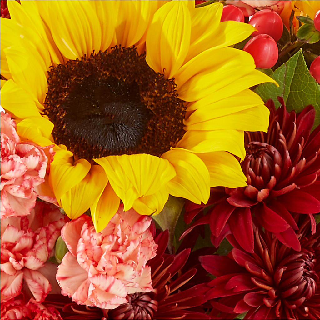 Fresh Cider Bouquet –  The Owls Nest Florist, Clover SC