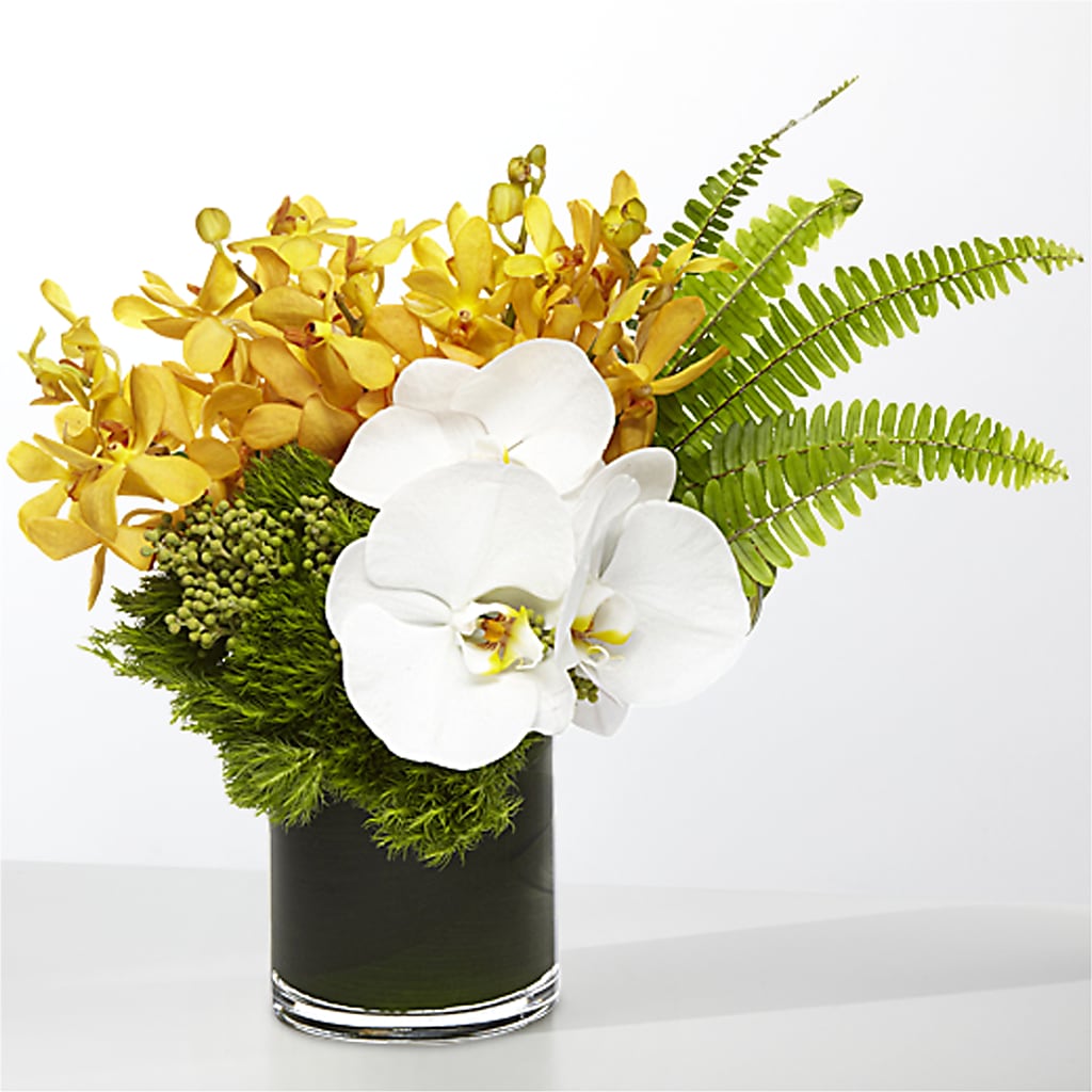 The Tropics –  The Owls Nest Florist, Clover SC