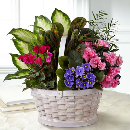 Peaceful Garden Planter –  The Owls Nest Florist, Clover SC