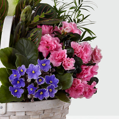 Peaceful Garden Planter –  The Owls Nest Florist, Clover SC