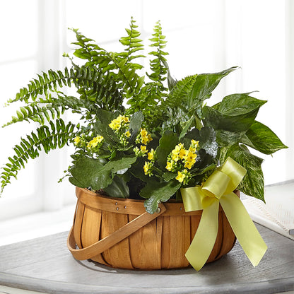 Always Dear Dishgarden –  The Owls Nest Florist, Clover SC