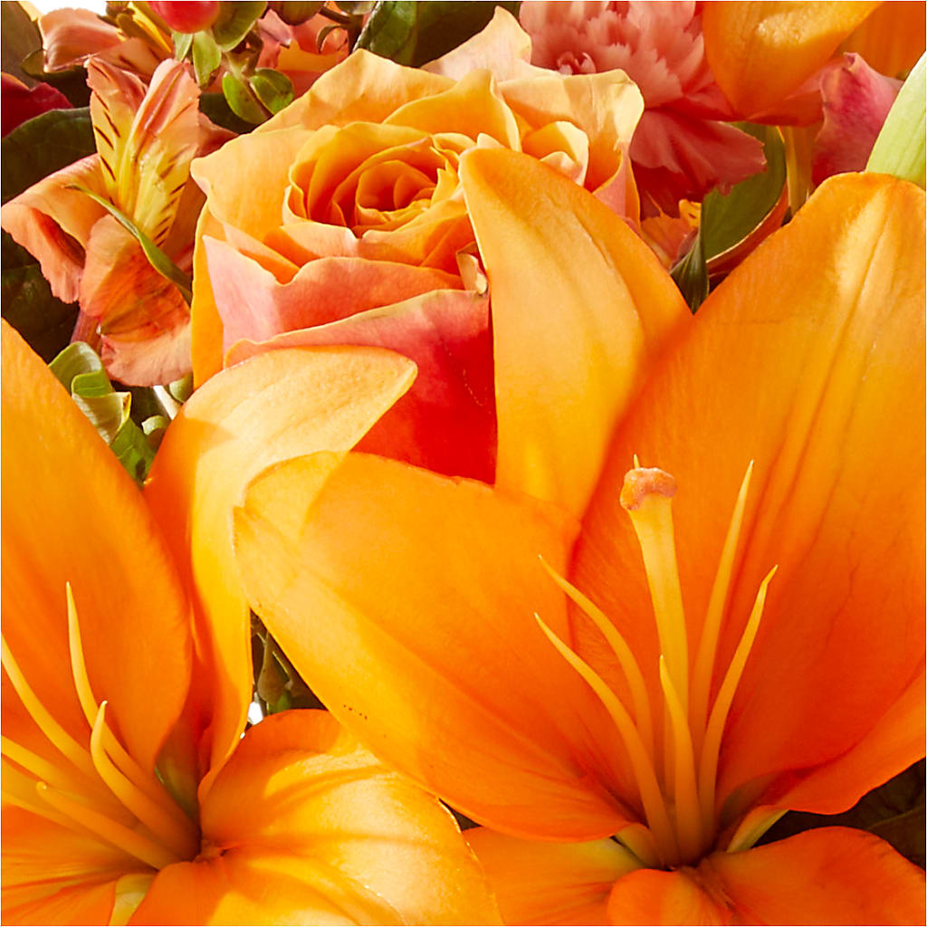 Afternoon Light Bouquet –  The Owls Nest Florist, Clover SC