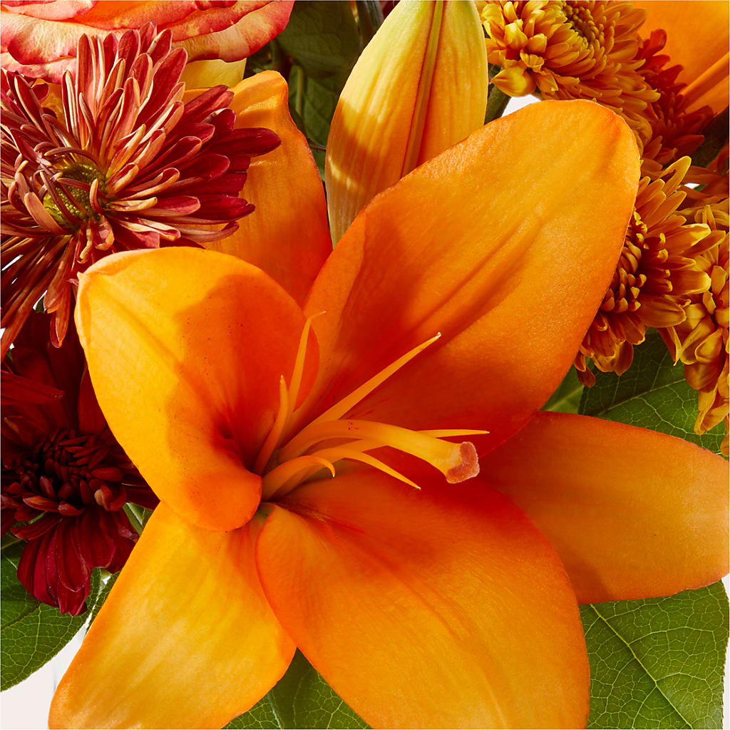 Autumnal Aroma Bouquet –  The Owls Nest Florist, Clover SC