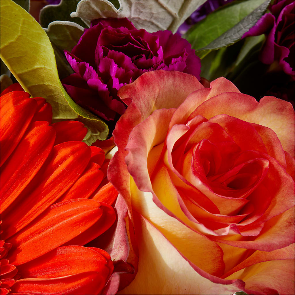 Sangria Bouquet –  The Owls Nest Florist, Clover SC