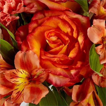 Apricot Glow Bouquet –  The Owls Nest Florist, Clover SC