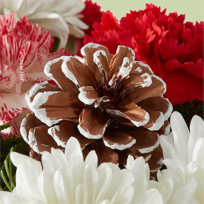 Candy Cane Lane Bouquet –  The Owls Nest Florist, Clover SC