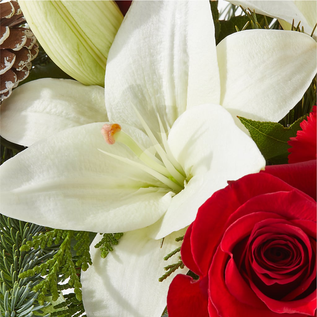 Oh So Jolly Bouquet –  The Owls Nest Florist, Clover SC
