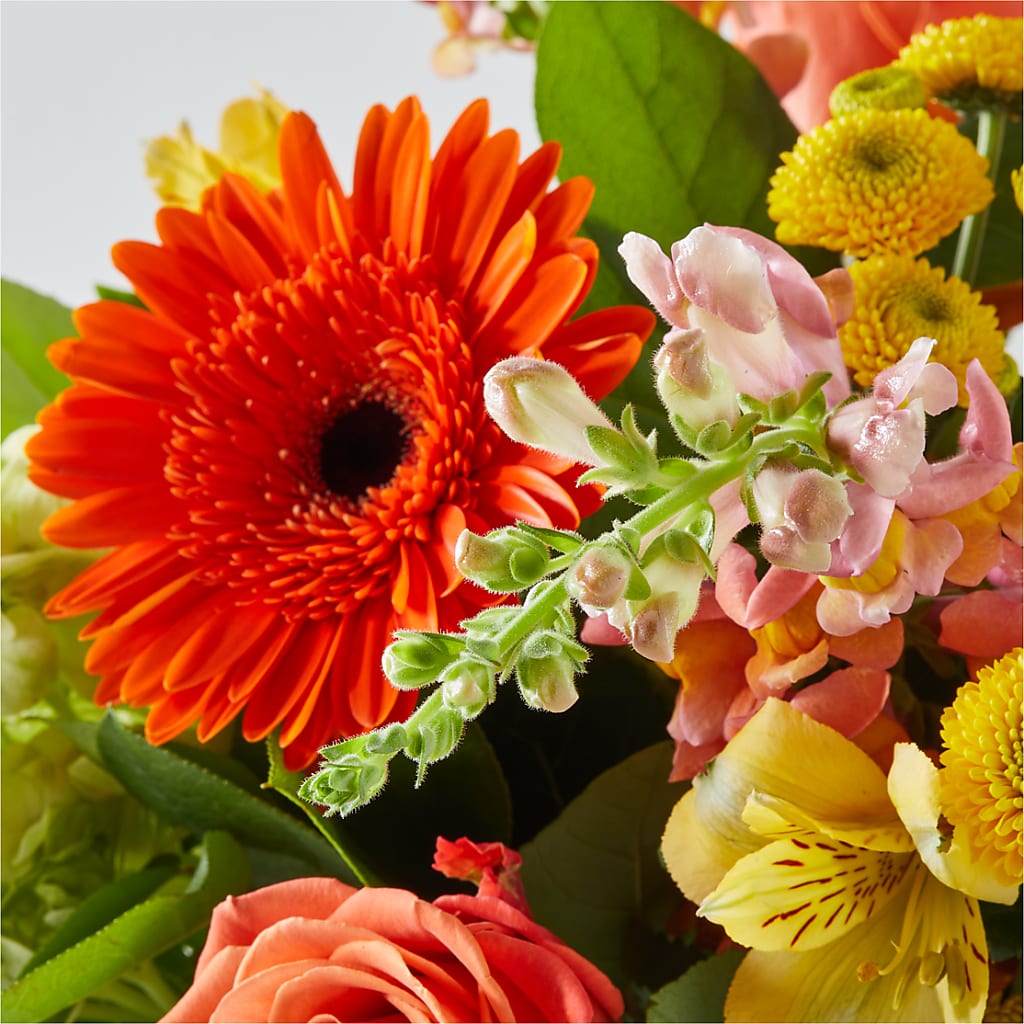 Autumn Sunshine Bouquet –  The Owls Nest Florist, Clover SC