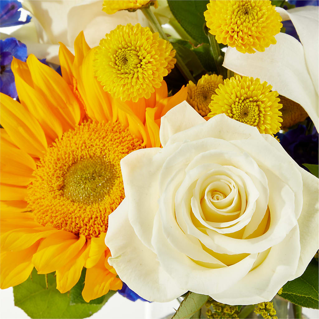 Stargazing Bouquet –  The Owls Nest Florist, Clover SC