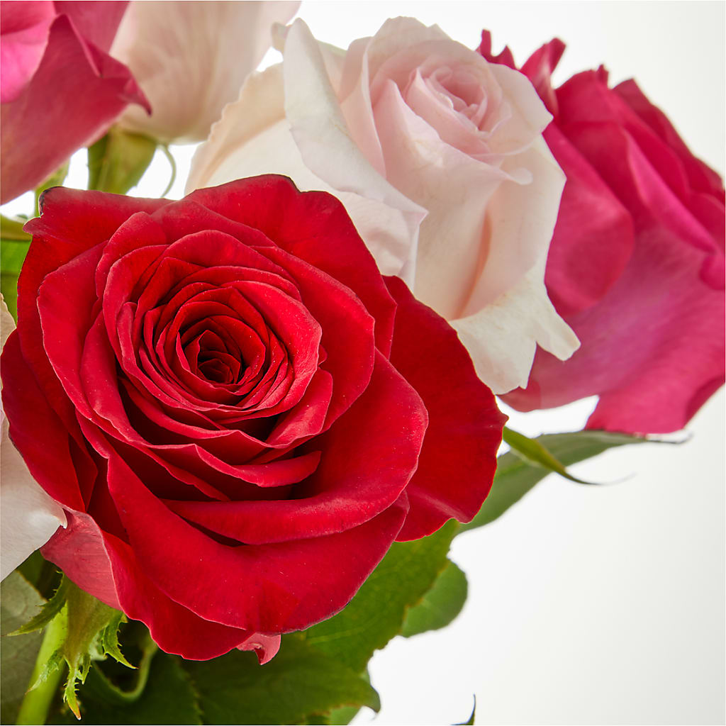 Charming Rose Bouquet –  The Owls Nest Florist, Clover SC